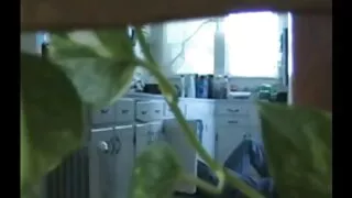 উচ্চ হিল মধ্যে শৃঙ্গ ...