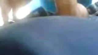 গরম রক্তের শ্যামাঙ্গ ...