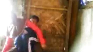 কার্ভাসিয়াস বেবস ভি ...