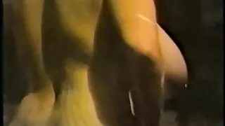নাস্তার চোদা চোদি ভি ...
