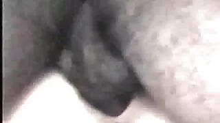 ফ্রিস্কি স্লট ক্রিসি ...