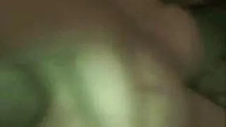 কার্ভাসিয়াস স্বর্ণক ...