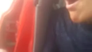 ক্ষুদ্র আবলুস সৌন্দর ...