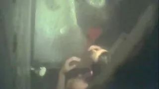 সুন্দর এশিয়ান স্লাট ...