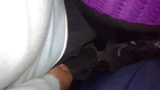 কিঙ্কি ল্যাটিনা পিগট ...