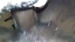Tranny চুদা চুদী বিড ...