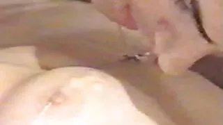 উজ্জ্বল ফিশনেট স্টকি ...