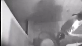 সেক্সি টি-মেয়ে বড়  ...