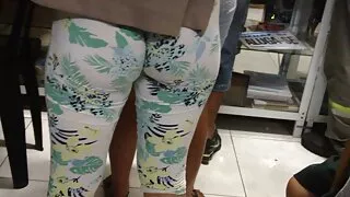 সুন্দর গাধা সাভানা স ...